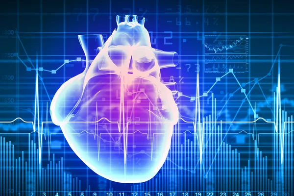 Human heart beats — Stock Photo, Image