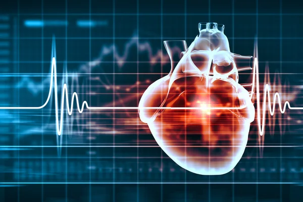 Human heart beats — Stock Photo, Image