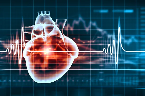 Human heart beats — Stock Photo, Image