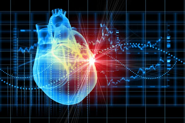 Human heart beats — Stock Photo, Image