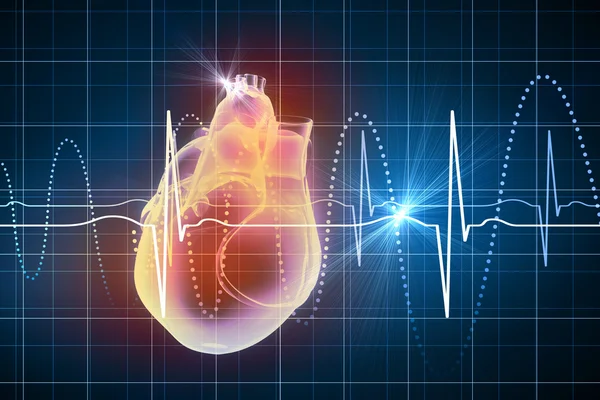 Human heart beats — Stock Photo, Image