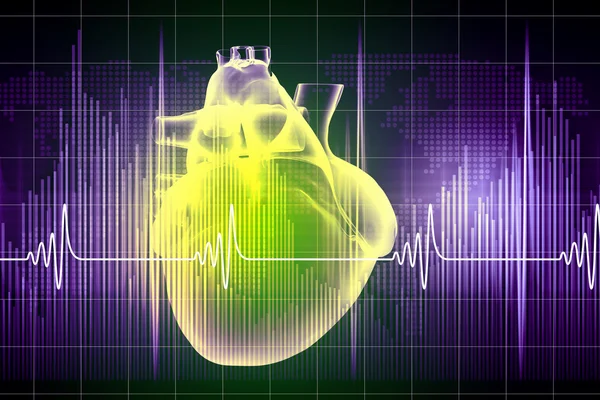 Human heart beats — Stock Photo, Image