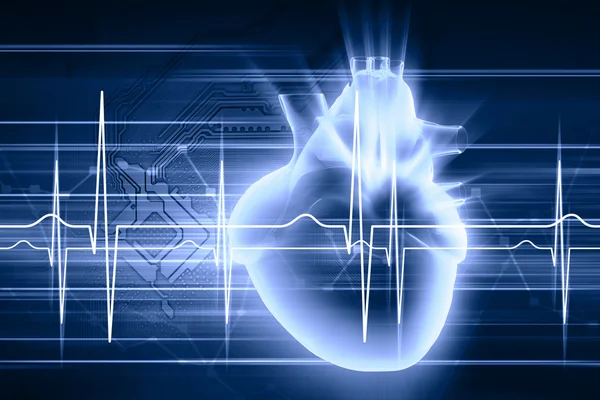 Human heart beats — Stock Photo, Image