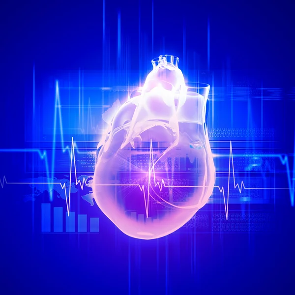 El corazón humano late — Foto de Stock