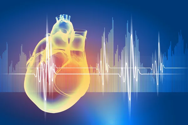 Human heart beats — Stock Photo, Image