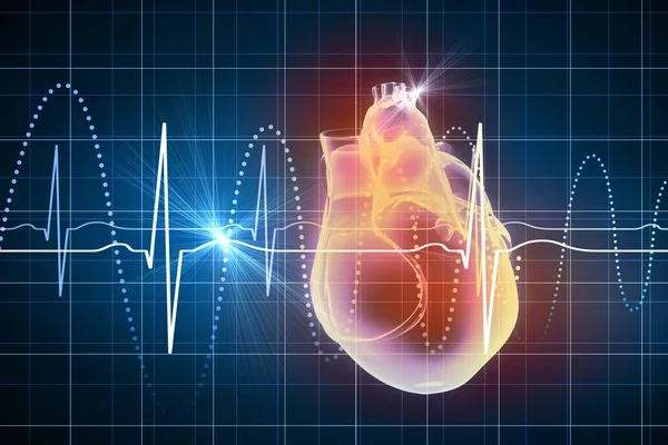 Human heart beats — Stock Photo, Image