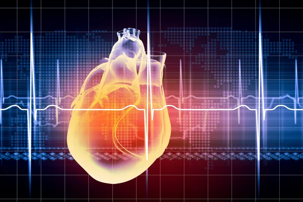 Human heart beats — Stock Photo, Image