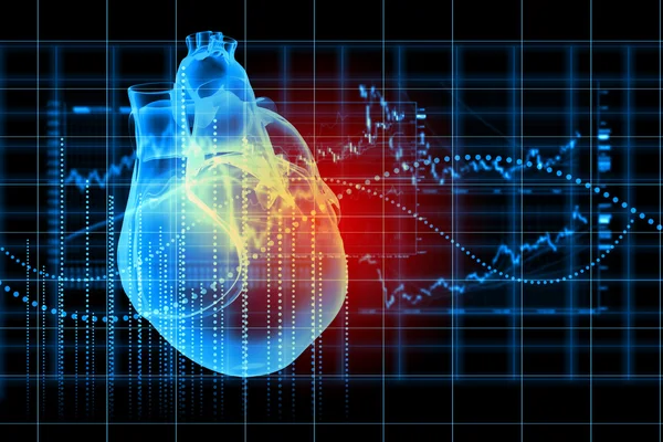 Human heart beats — Stock Photo, Image