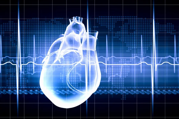 Human heart beats — Stock Photo, Image