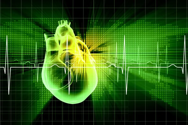 Human heart beats — Stock Photo, Image