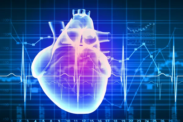 Human heart beats — Stock Photo, Image