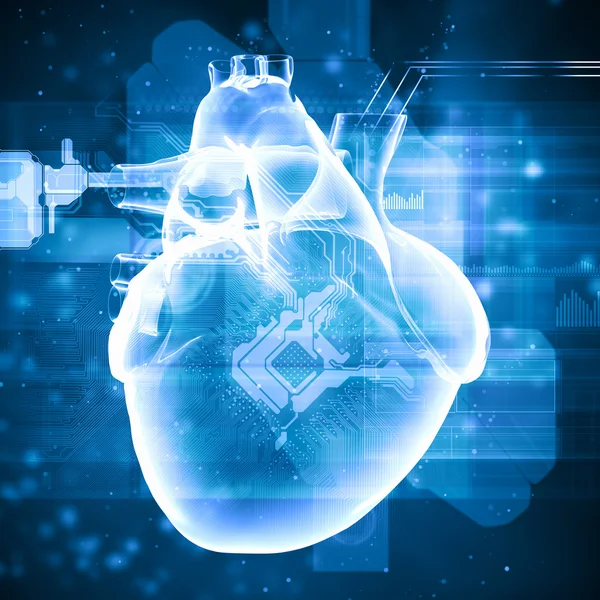 Mänskliga hjärtat slår — Stockfoto