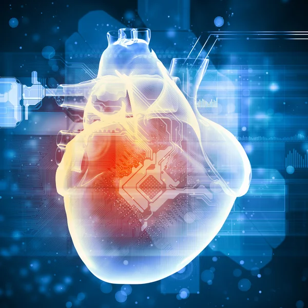 Human heart beats — Stock Photo, Image