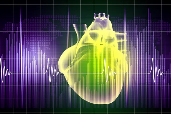 Human heart beats — Stock Photo, Image