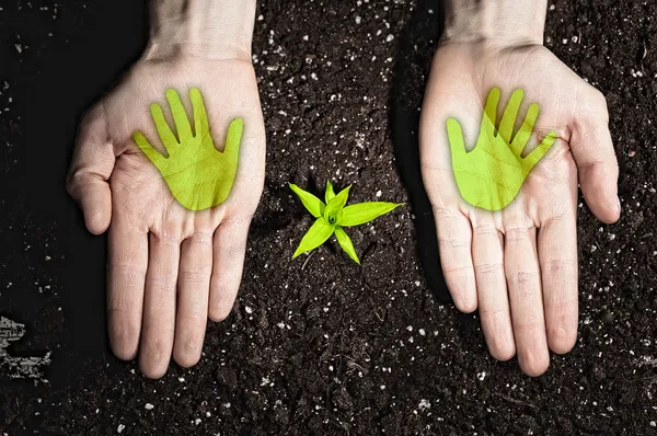Menschenhände und ökologische Symbole — Stockfoto