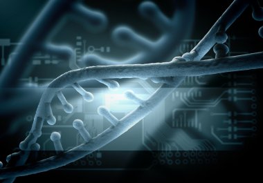 DNA molekülü