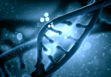 DNA molekülü