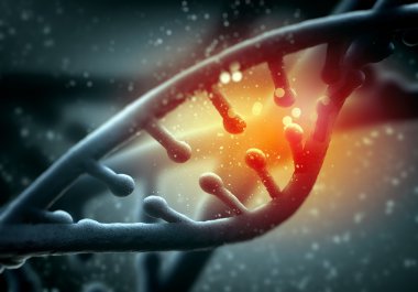DNA molekülü