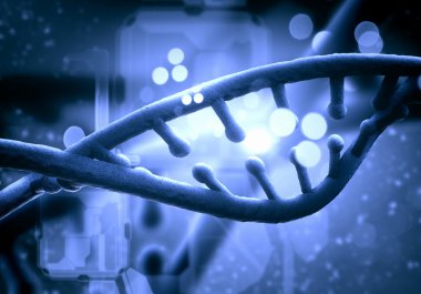 DNA molekülü