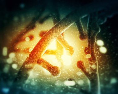 DNA molekülü