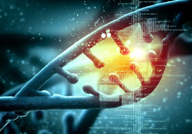 DNA molekülü
