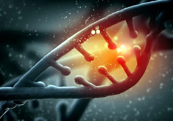 DNA-molekylen — Stockfoto