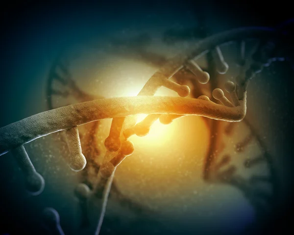 DNA molecule — Stock Photo, Image