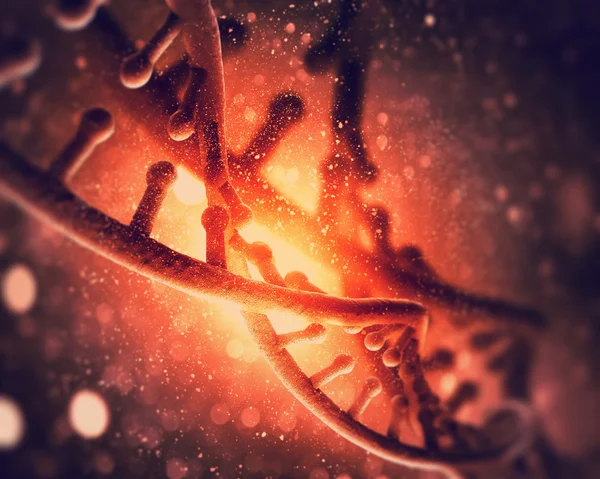 DNA molecule — Stock Photo, Image