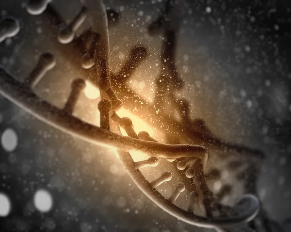 DNA molecule — Stock Photo, Image