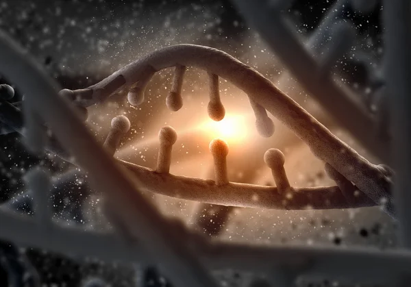 ДНК молекули — стокове фото
