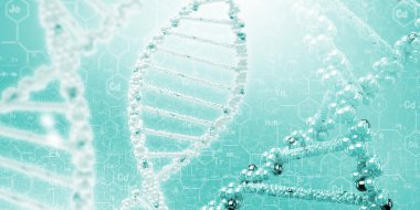 DNA molekülü