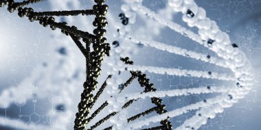 DNA molekülü