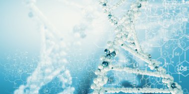 DNA molekülü