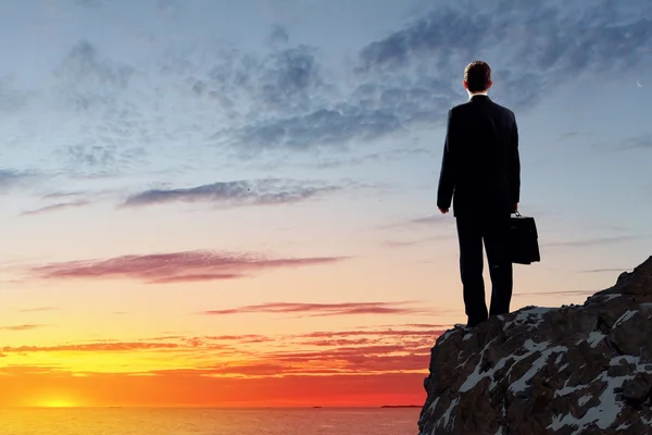 Businessman on top of hill — Stock Photo, Image