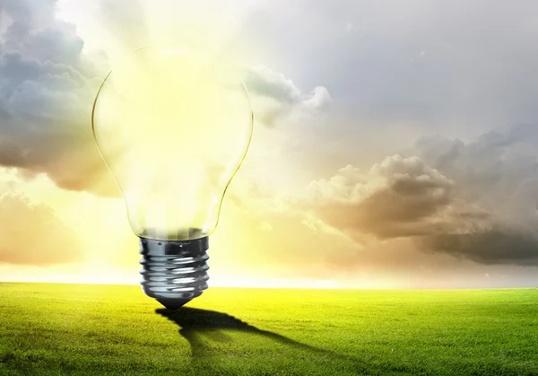Light bulb and nature — Stock Photo, Image