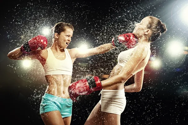 zoals dat Tegenstander Skalk Stockfoto's van Dame boksen, rechtenvrije afbeeldingen van Dame boksen |  Depositphotos