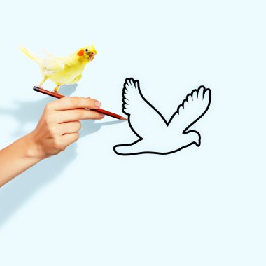 el üstünde oturan papağan