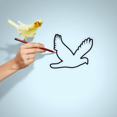 el üstünde oturan papağan