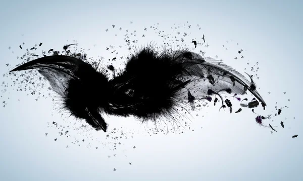 Zwarte vleugels — Stockfoto
