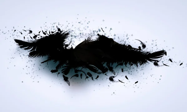 Schwarze Flügel — Stockfoto