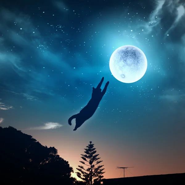 Buenas noches luna fotos de stock, imágenes de Buenas noches luna sin  royalties | Depositphotos