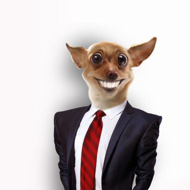 Takım elbiseli bir köpek komik portresi