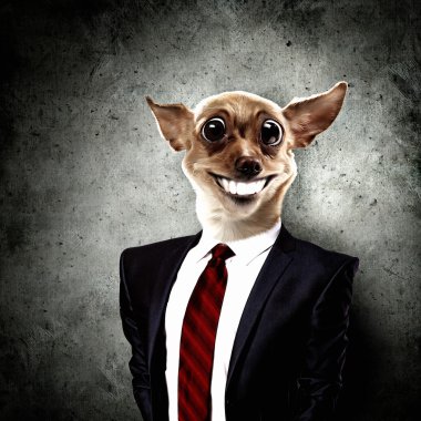 Takım elbiseli bir köpek komik portresi