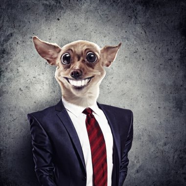 Takım elbiseli bir köpek komik portresi