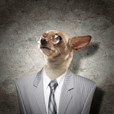 Takım elbiseli bir köpek komik portresi