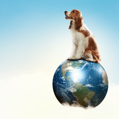 Dünya ile köpek.