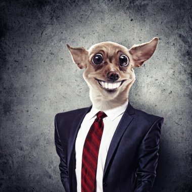 Takım elbiseli bir köpek komik portresi