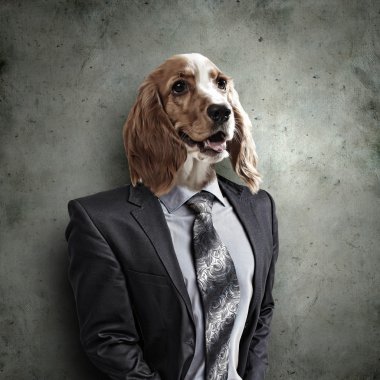 Takım elbiseli bir köpek komik portresi