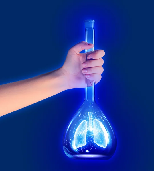 Human lungs in test tube — Stock Photo, Image