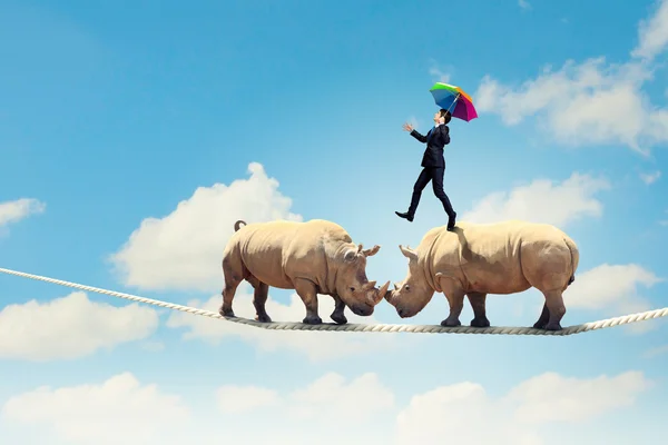 Rhino går på repet — Stockfoto